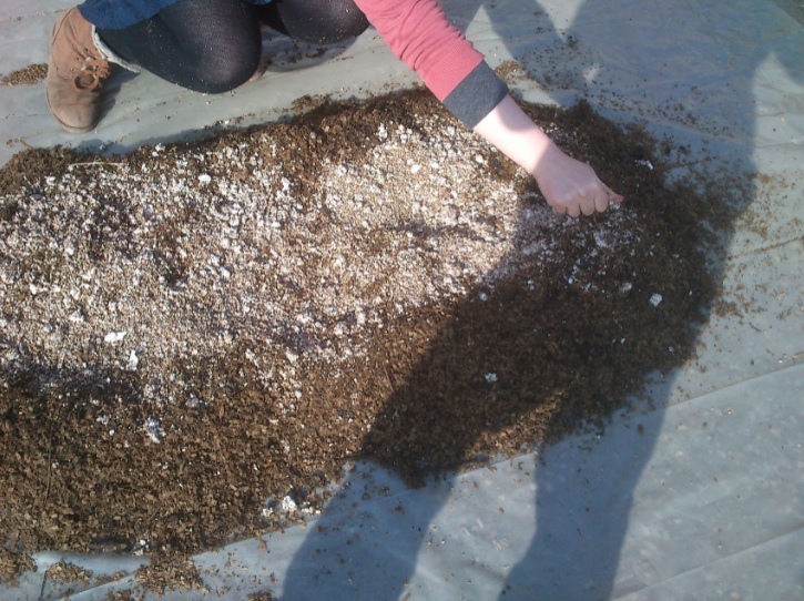 Beimpfen der Holzspäne (Verhältnis Brut:Späne ca. 1:20)